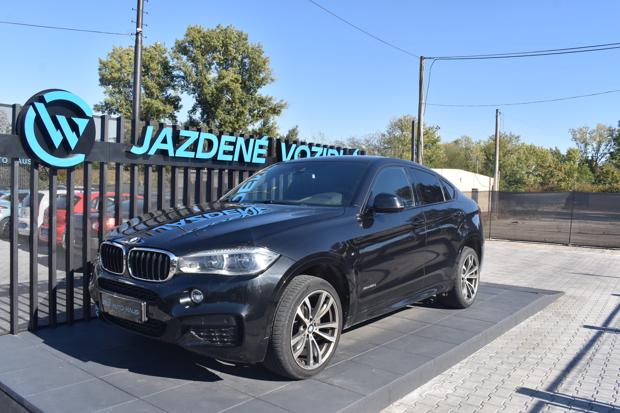 BMW X6